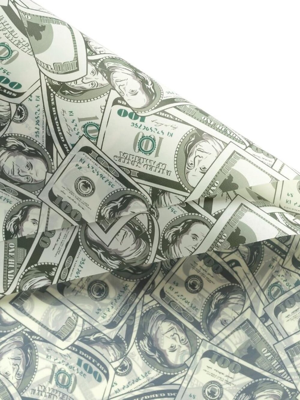 20 Sheets Flower Wrapping Paper for Men Women Adult - Funny Dollar Bill Money Pl